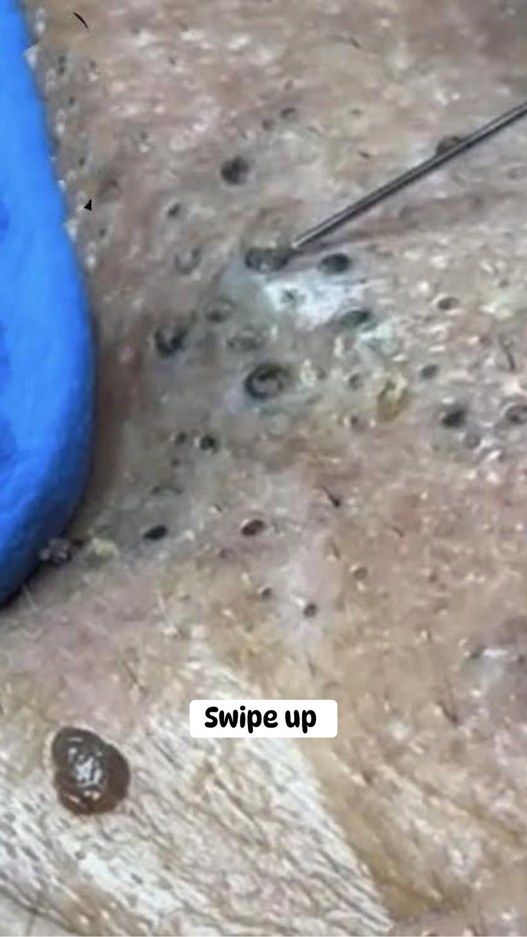 The Last House on the Left